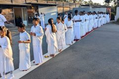 PXL_20241221_194525010.MP-1-scaled