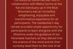 Buddhist Detox Retreat - 5