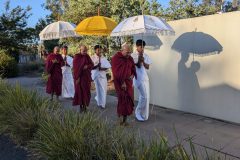 PXL_20241219_195821003.MP_-scaled