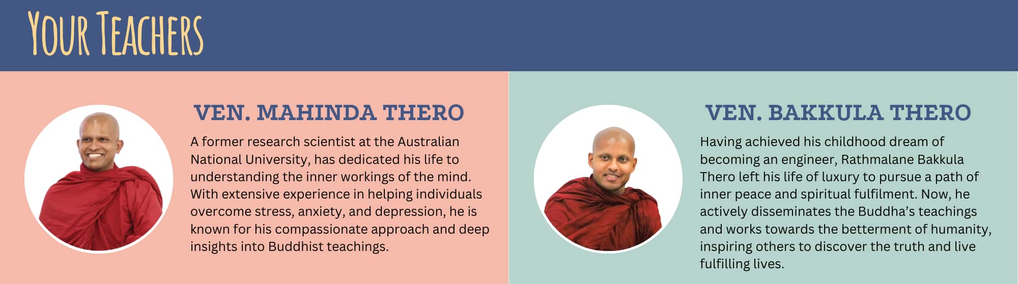 Detox Your Mind - teachers